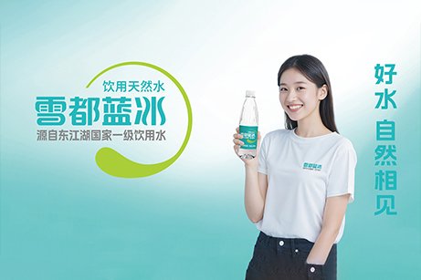 雪都蓝冰品牌策划,雪都蓝冰logo设计