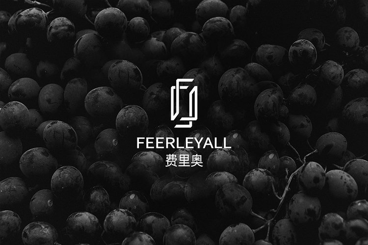 费里奥红酒品牌标志设计,费里奥红酒瓶贴设计,费里奥红酒包装设计,费里奥品牌设计,高端红酒包装设计