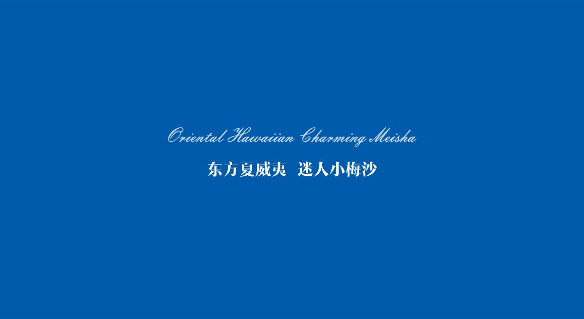 小梅沙品牌画册策划设计_全力设计