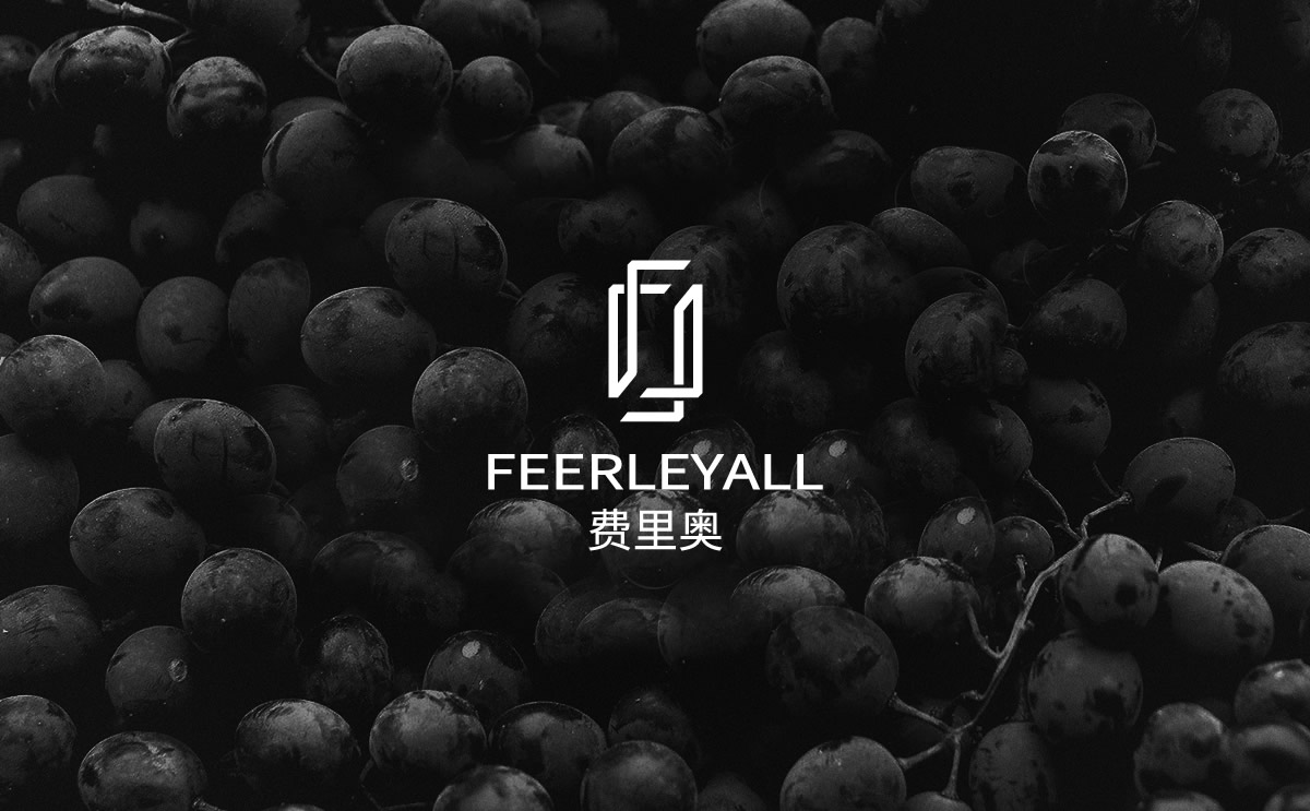 费里奥红酒品牌标志设计,费里奥红酒瓶贴设计,费里奥红酒包装设计,费里奥品牌设计,高端红酒包装设计